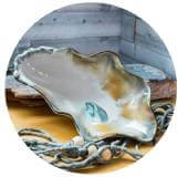 oyster_small